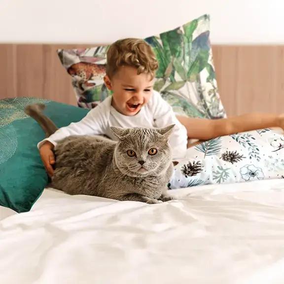Pillowcases